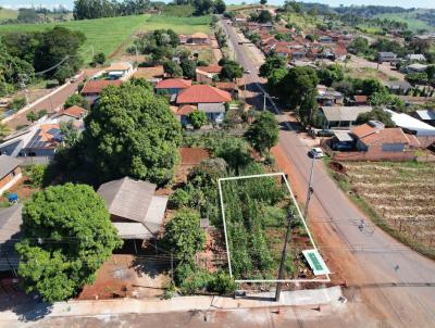 imagem-miniatura