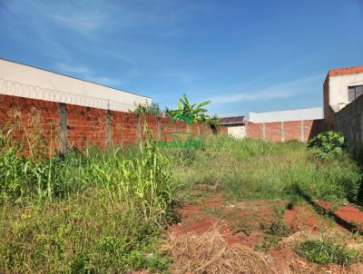 Terreno para Venda, em Igarau do Tiet, bairro So Jos 2