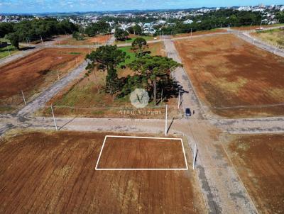 imagem-miniatura