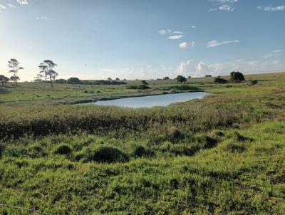 Stio para Venda, em So Pedro da Aldeia, bairro Sergeira