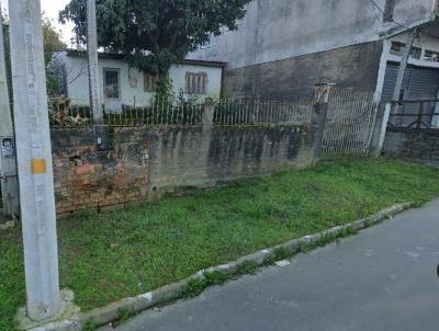 imagem-miniatura