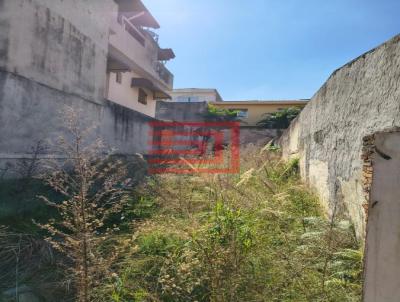 Terreno para Venda, em So Paulo, bairro Vila Canero