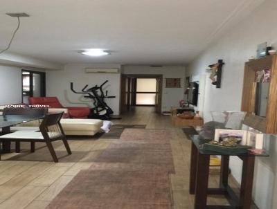 imagem-miniatura