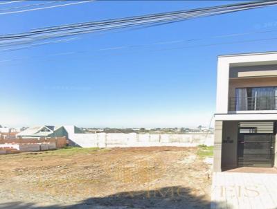 imagem-miniatura