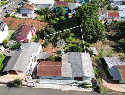 imagem-miniatura