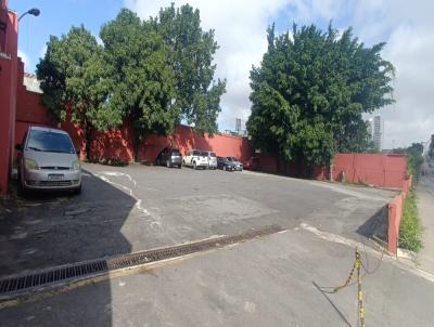 Salo Comercial para Locao, em Guarulhos, bairro Vila Augusta
