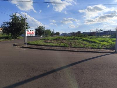imagem-miniatura