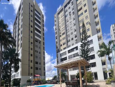 imagem-miniatura