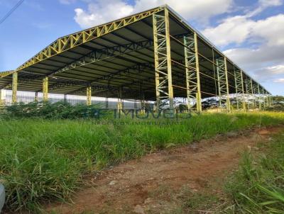 Terreno em Condomnio para Venda, em Rio das Pedras, bairro Loteamento Industrial Palmeiras