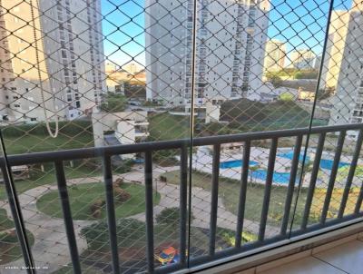 imagem-miniatura