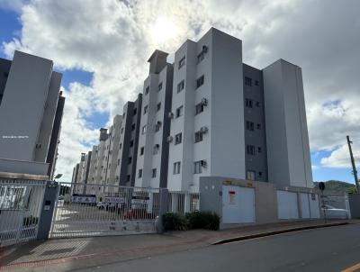 Apartamento para Locao, em Cambori, bairro Cedro, 2 dormitrios, 1 banheiro, 1 vaga