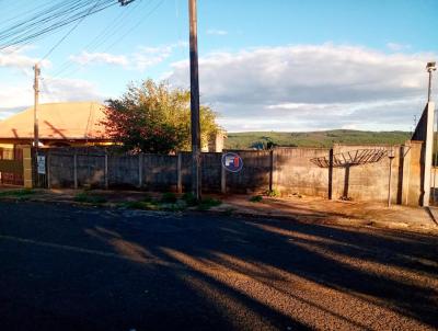 Lote para Venda, em Telmaco Borba, bairro BNH