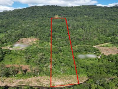 rea Rural para Venda, em So Vendelino, bairro SANTA CLARA