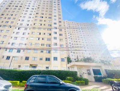 Apartamento para Venda, em So Paulo, bairro Vila Zat, 2 dormitrios, 1 banheiro