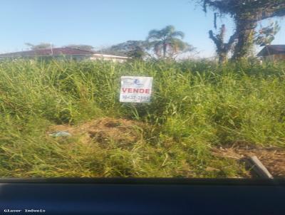 Terreno em Praia para Venda, em Pontal do Paran, bairro Carmeri