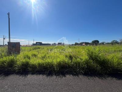 Terreno para Venda, em Indiana, bairro Jardim das Palmeiras