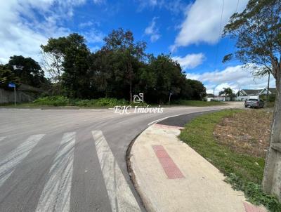 imagem-miniatura