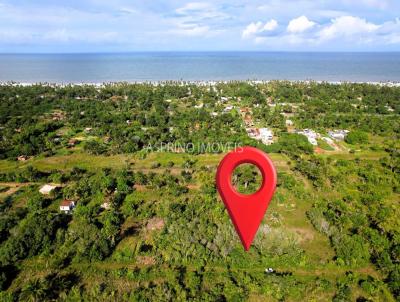 Terreno para Venda, em Ilhus, bairro Manses Luzimares