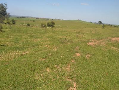 Fazenda para Venda, em Flora Rica, bairro NA BEIRA DO ASFALTO