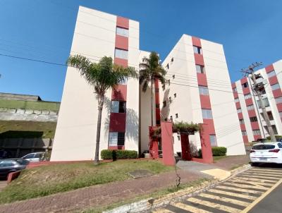 imagem-miniatura