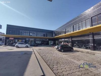 Sala Comercial para Locao, em Belm, bairro Cidade Velha