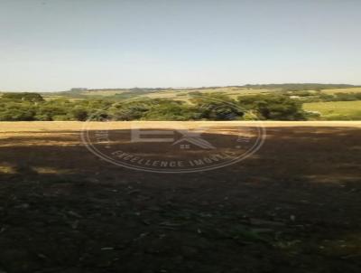 rea para Venda, em Boituva, bairro Campo de Boituva