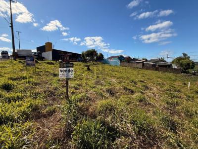 Terreno para Venda, em Guarapuava, bairro Primavera