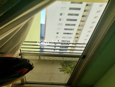 imagem-miniatura
