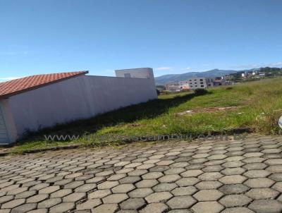 imagem-miniatura