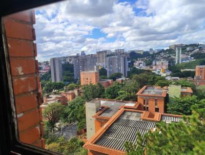 Apartamento para Venda, em Belo Horizonte, bairro Estrela Dalva, 3 dormitrios, 2 banheiros, 2 vagas