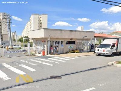 imagem-miniatura