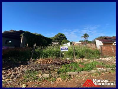 Terreno para Venda, em Santa Rosa, bairro Bairro Cruzeiro