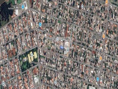 imagem-miniatura