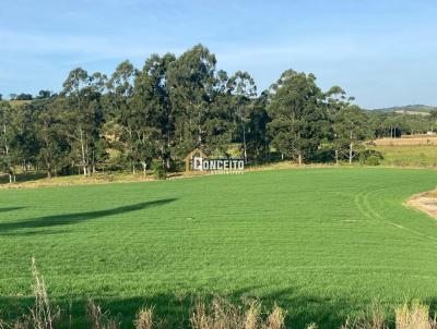 Stio para Venda, em Itapetininga, bairro rea Rural
