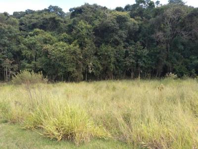 Terreno para Venda, em Monte Alegre do Sul, bairro Monte Alegre Do Sul