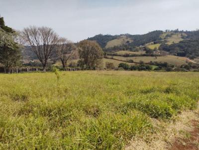 Terreno para Venda, em Tuiuti, bairro Tuiuti