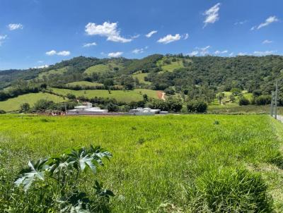 Terreno para Venda, em Tuiuti, bairro Tuiuti