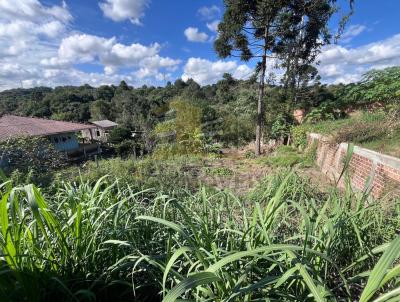 Terreno para Venda, em Castro, bairro Bom Sucesso