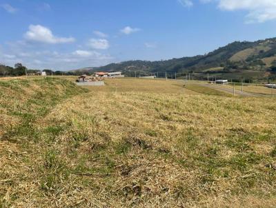 Terreno para Venda, em Tuiuti, bairro Tuiuti