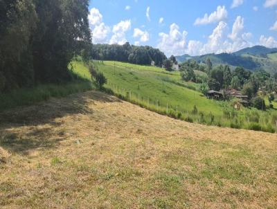 Terreno para Venda, em Monte Alegre do Sul, bairro Mostardas