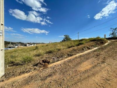 Terreno para Venda, em Pinhalzinho, bairro Araucrias