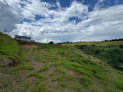 Terreno para Venda, em Pinhalzinho, bairro Araucrias