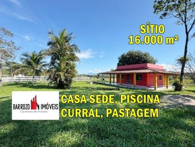 imagem-miniatura