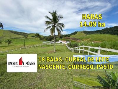 imagem-miniatura