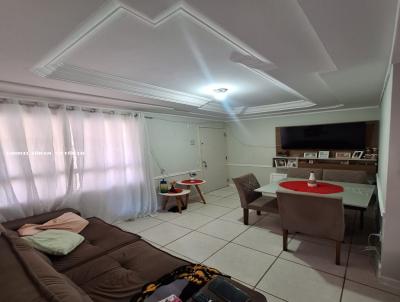 imagem-miniatura