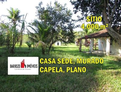 imagem-miniatura