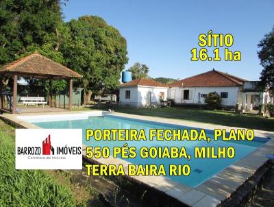 imagem-miniatura