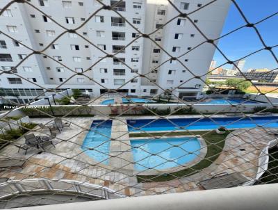 imagem-miniatura