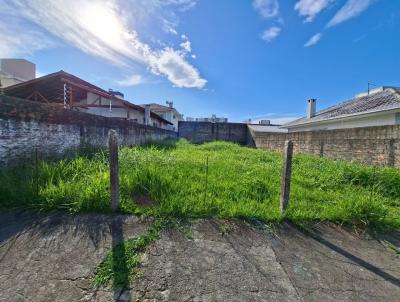 Terreno para Venda, em Palhoa, bairro Pagani