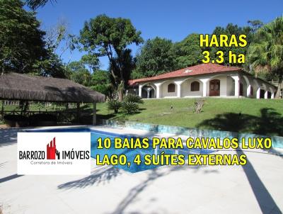 imagem-miniatura